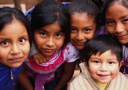 【苹果版】流畅的网站攻击器